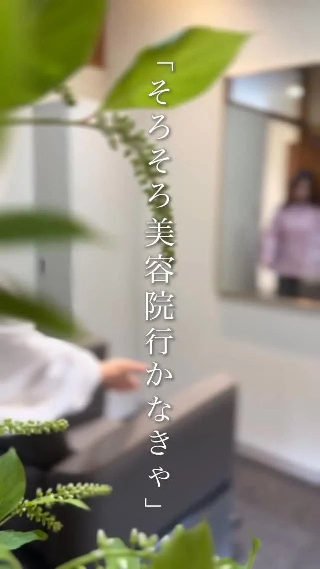 美容院、どのくらいの頻度で行っていますか？✂️

「なんとなく毎月行ってる」
「気になってから予約してる」

実は、髪をキレイに保つためには
自分の髪に合ったタイミングを知ることが大切です☺️

髪型やカラー、白髪の量、髪質によって
ベストな頻度は人それぞれ。

「私の場合はどのくらいがいいんだろう？」
そんな方は、ぜひ美容師に相談してみてください♡

無理なく続けられる美容院のペースで、
いつでもキレイな髪を楽しみましょう✨

#美容院頻度#豊橋美容院 #豊川美容院 #浜松美容院