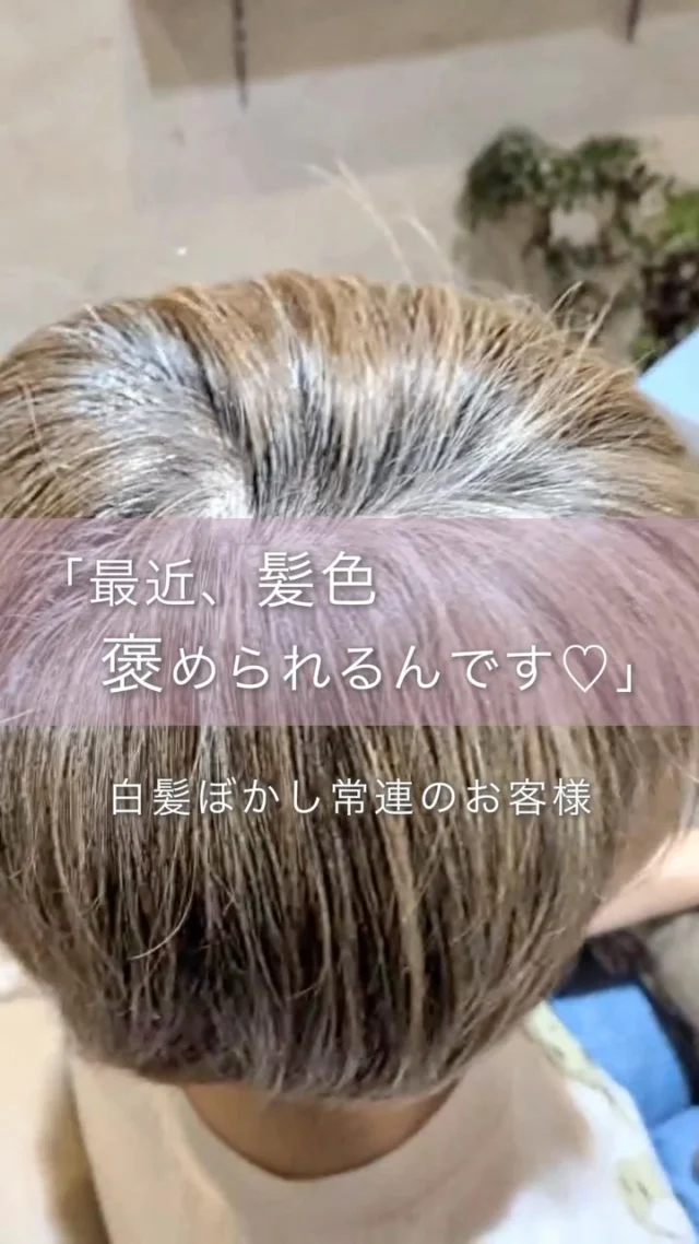「今回もいい感じ！」
「周りからも褒められるんです♡」

そんな嬉しい言葉をいただけるのが、
白髪ぼかしを続けてくださっているお客様との時間。

白髪を隠すだけじゃなく、
伸びてきたときも自然になじむように。

「白髪が気になるけど、毎月しっかり染めるのは大変…」
そんな方にもおすすめです◎

いつものカラーを少し変えるだけで、
白髪との付き合い方も変わるかもしれません✨

▶▶各店舗へのご予約

プロフィールトップのリンクから
ご予約ページへお進みいただけます✨
こ
@she.hairsalon

▶愛知県豊橋市橋良店
▶愛知県豊川店
▶静岡県浜松・大平台店
▶静岡県浜松・三方原店
▶静岡県浜松・北寺島店

#白髪ぼかし#豊橋美容院 #豊川美容院 #浜松美容院